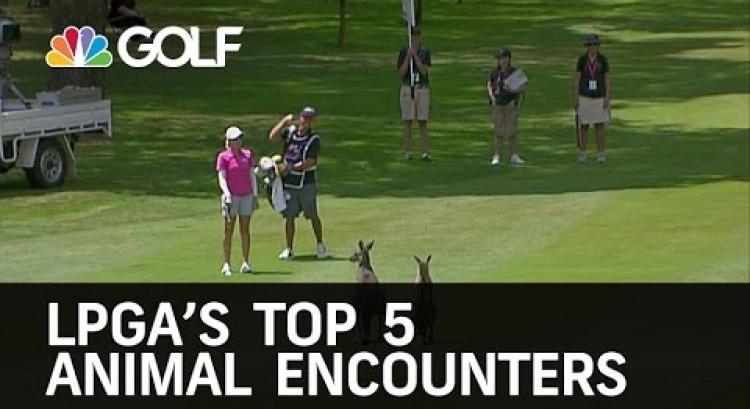 LPGA Top 5 Animal Encounters | Golf Channel