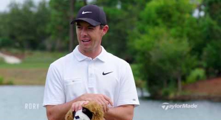 Rory Junior Golf Clubs | What's the Story Behind the Dog Headcover?