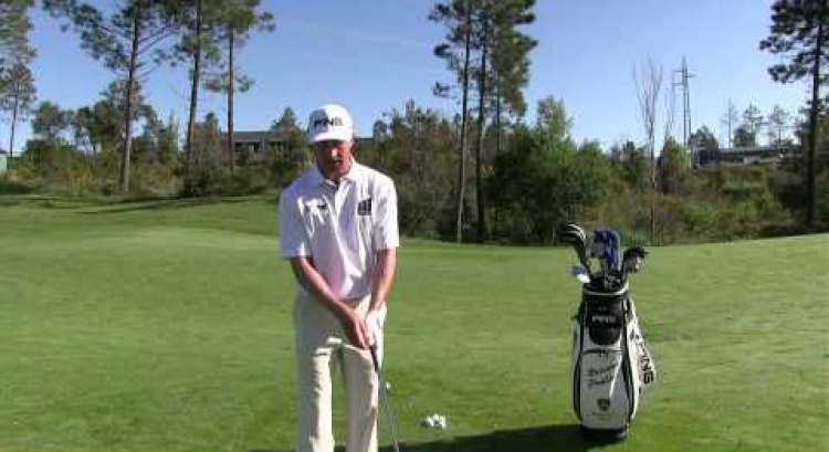 "Wedge Control" with Brinson Paolini